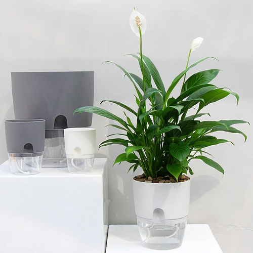 Skanto | Selv vanning planter