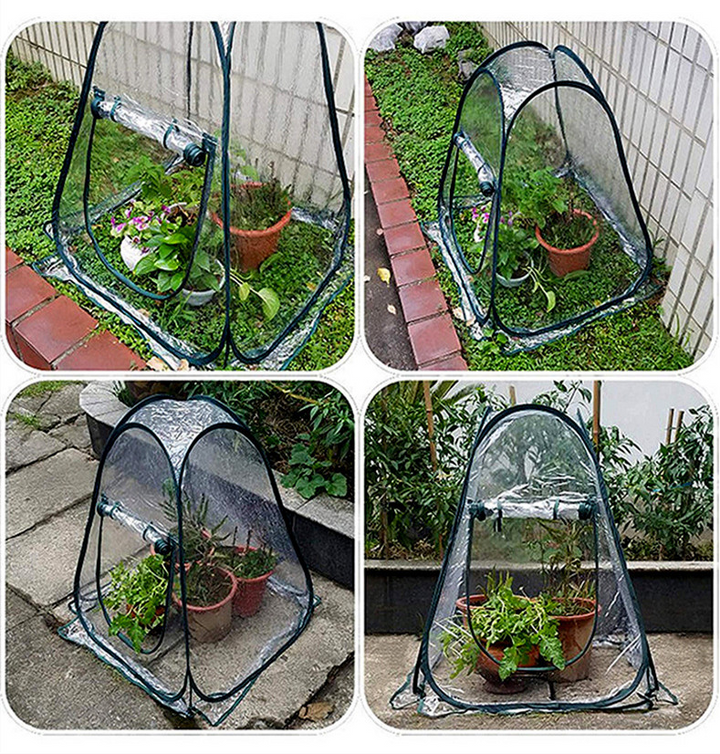 Skanto | Kompakt Plantebeskyttelsestelt for Hageplanter – Transparent Drivhus