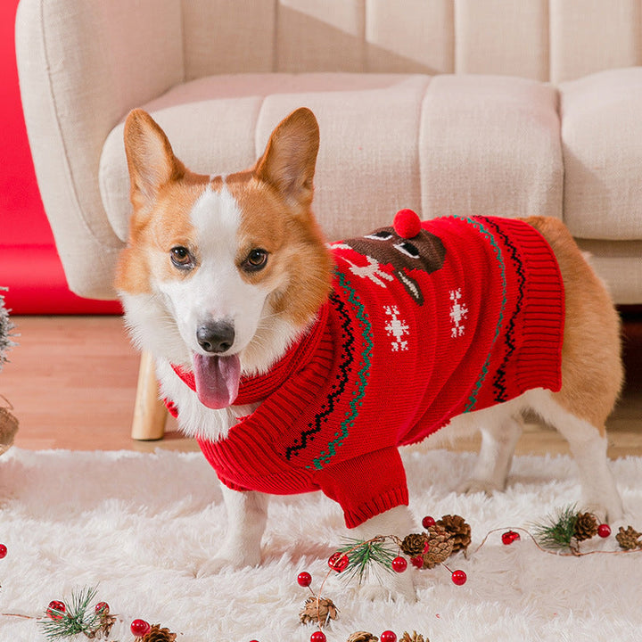 Varm julekleding for kjæledyr | Skanto