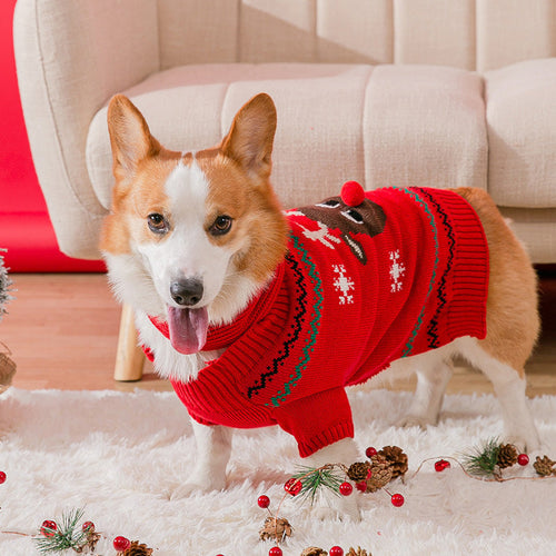 Varm julekleding for kjæledyr | Skanto
