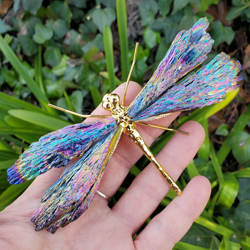 AURA TOURMALINE KYANITE DRAGEFLY | Skanto