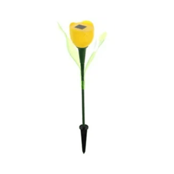 Skanto | Tulip lys som naturlig opplyser kvelder!