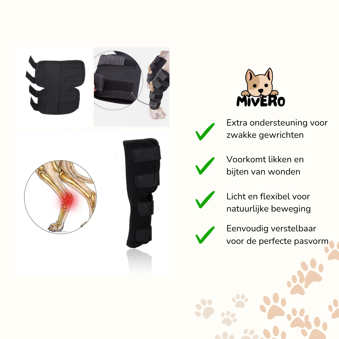 Skanto | PawBrace - Ortopedisk Hundebensbro