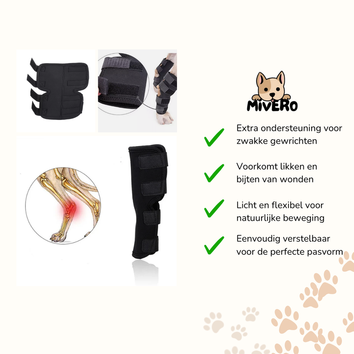 Skanto | PawBrace - Ortopedisk Hundebensbro