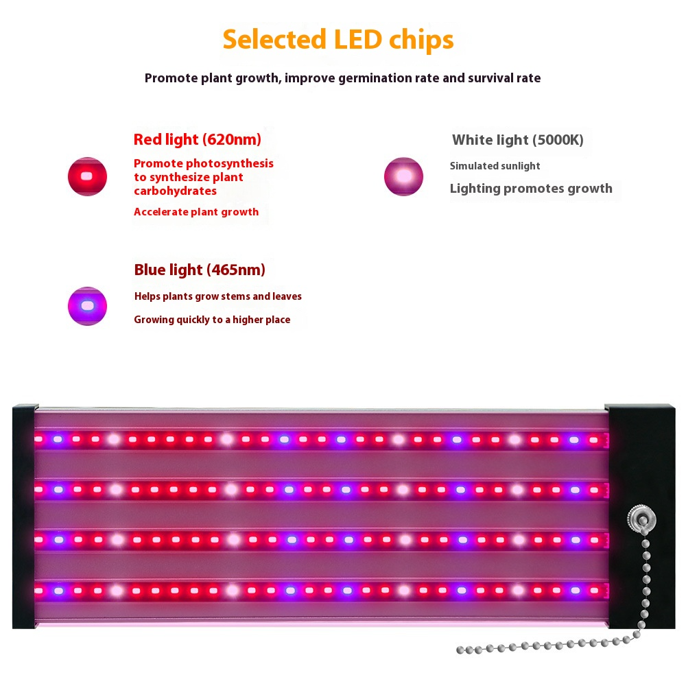 Skanto | LED plante lampe med fullspektrum belysning og trekkbryter for optimal plantevekst
