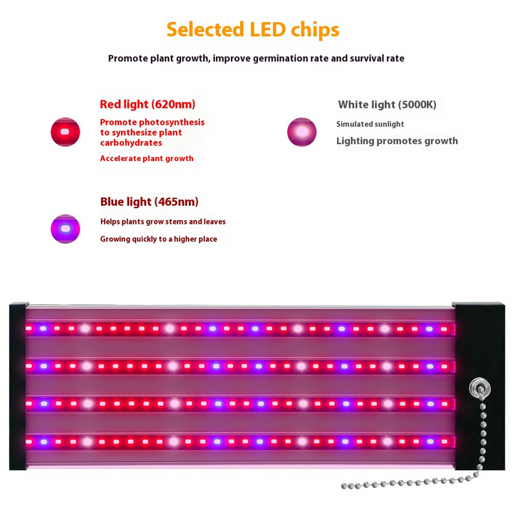 Skanto | LED plante lampe med fullspektrum belysning og trekkbryter for optimal plantevekst