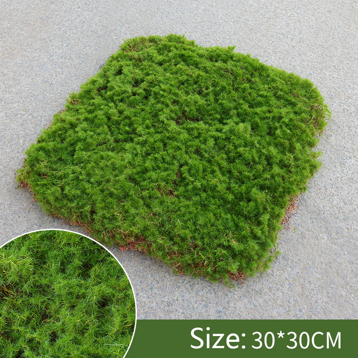 Skanto | Moss Dekorasjonselement – Moss Flak Ornament for Dekorasjon og Landskapspleie