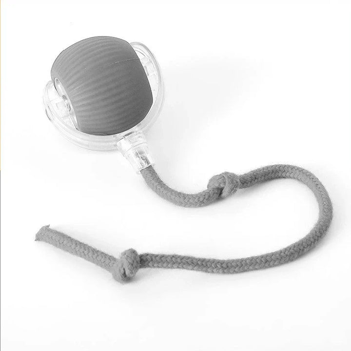 Interaktiv jaktball for katter – HuntJoy Skanto