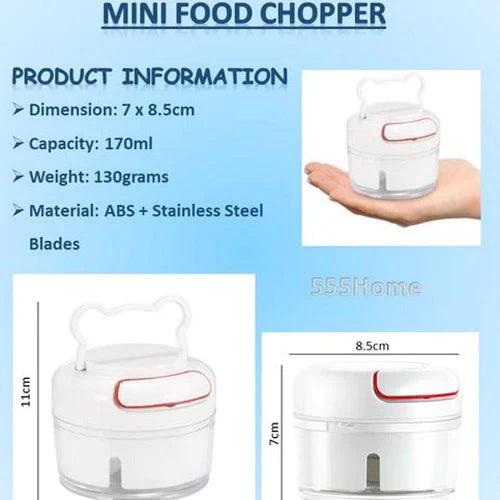 Mini Food Chopper Skanto