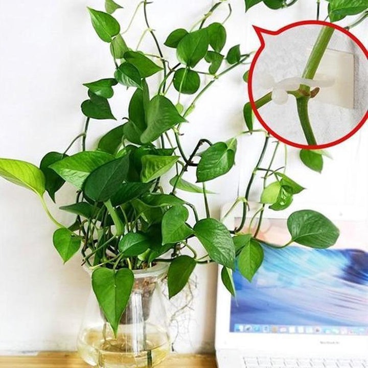 Veggholder for klatreplanter (30 deler) | Skanto