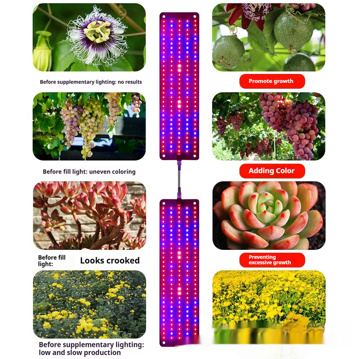 Skanto | LED Quantum Plante Lys Panel for Vekst og Farge Fremming – Med Justerbar Lysmodus