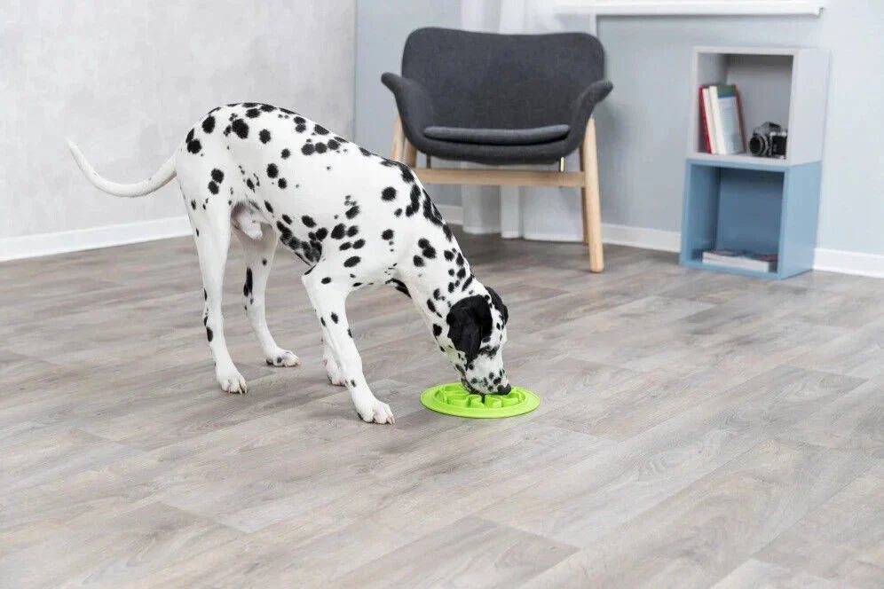 Skanto | Silikon Mat for Langsom Spising – 24 cm