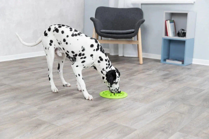 Skanto | Silikon Mat for Langsom Spising – 24 cm