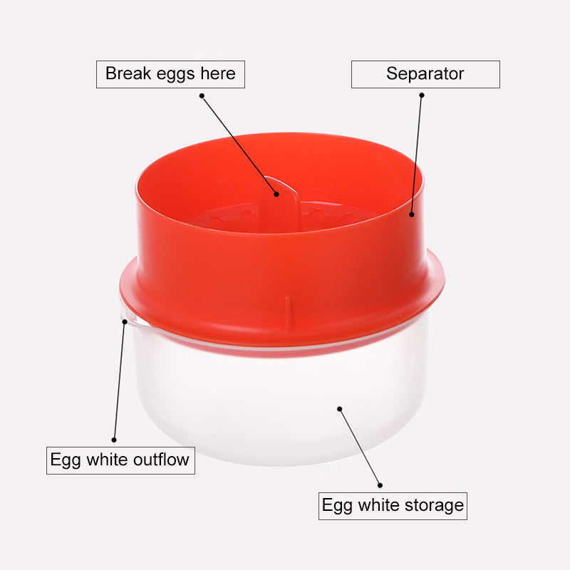 Egg White And Yolk Separator | Skanto
