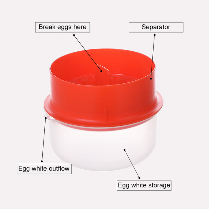 Egg White And Yolk Separator | Skanto