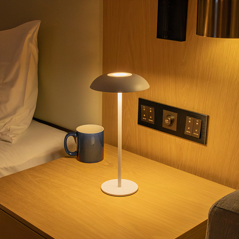 Skanto | Iron Elegance Lampe