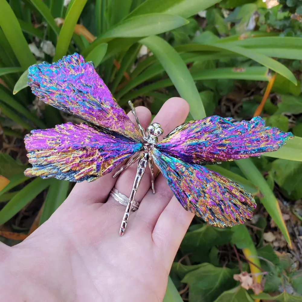Skanto | Aurora Libelle Charm