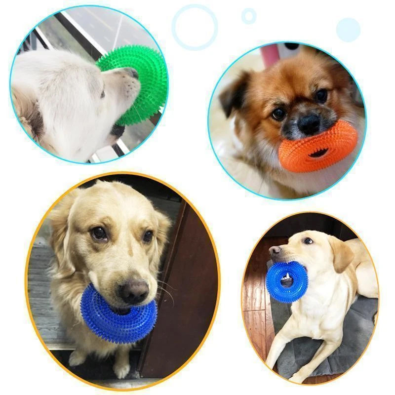 Vocal Ball Toy for Dog to Bite | Skanto