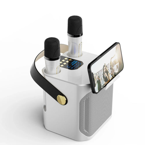 Skanto | Karaoke Bluetooth-høyttaler – 360° Surround Trådløs Subwoofer med Dual Mics