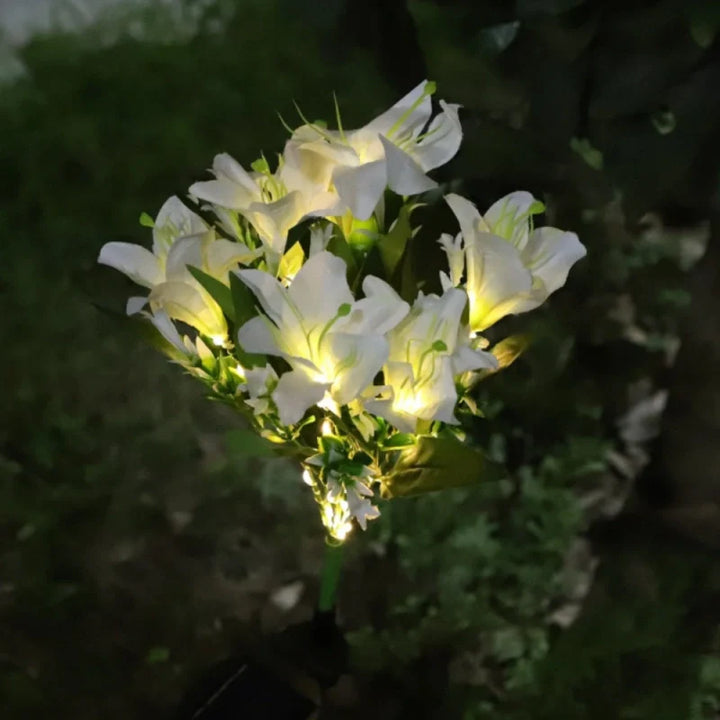 Skanto | Everbloom Solblomster Lys