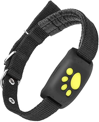 Intelligente GPS-Haustierhalsband med Echtzeit-Tracking, Geofencing-Warnungen og Schlafmodus for Katzen og Hunde
