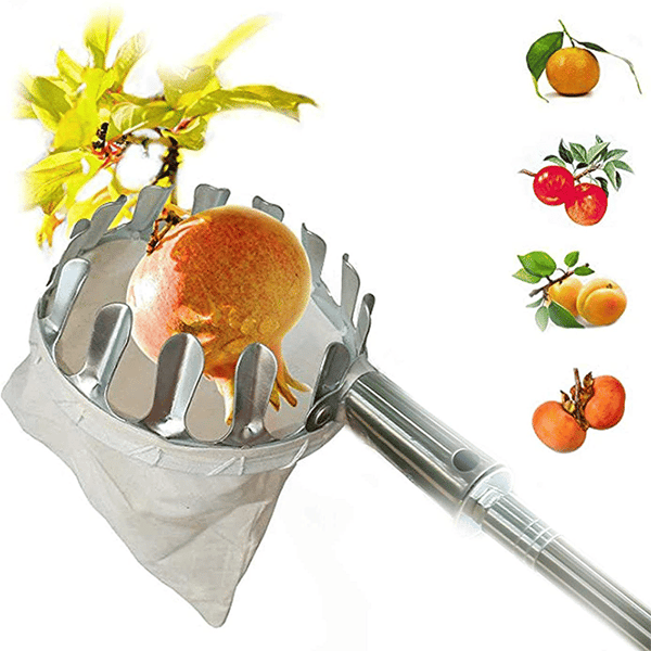 Skanto | Fruktplukker Hodekurv