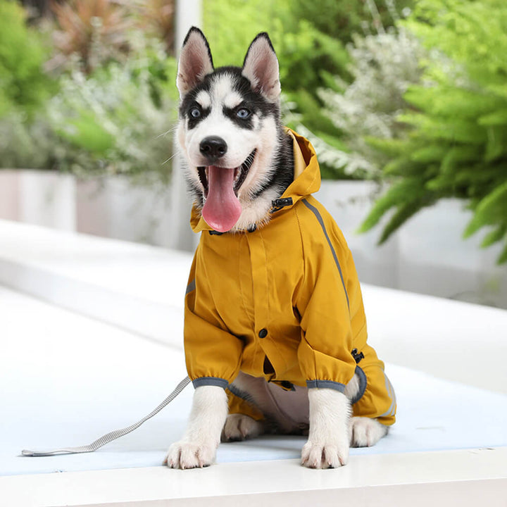Skanto | RainBuddy Vanntett Hunderegndress | Reflekterende Striper | Justerbar & Med Hette