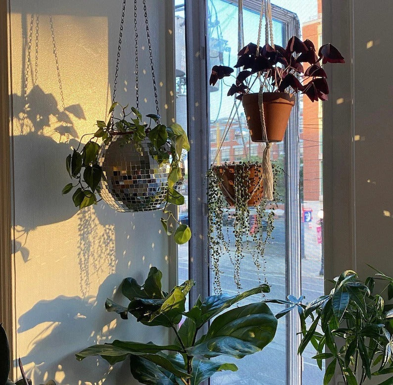 Skanto | Disco Ball Hengende Planteholder