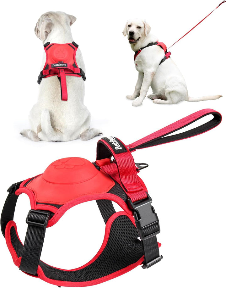 Skanto | mamymarket™ - Hundesele og sammenleggbar båndsett Alt-i-ett