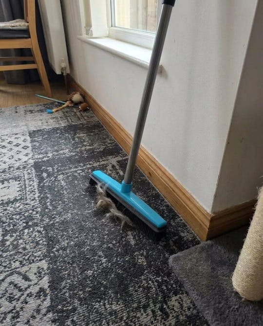 FurCleer — Sett et stopp for dyrehår og føl deg fri i hjemmet ditt | Skanto