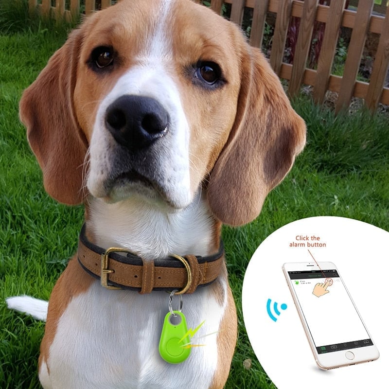 Skanto | Bluetooth og GPS Haustetracker
