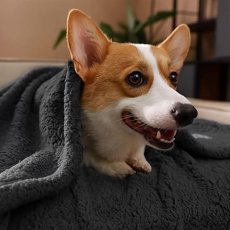 Skanto | FLOOPIE - Premium Pet Fleece Blanket
