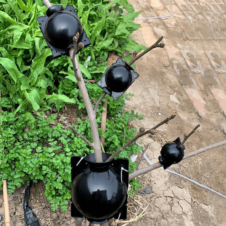 Skanto | Luftlagdeling Planteformeringskapsel