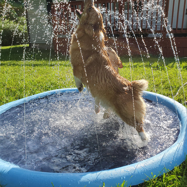 Skanto | Hund Sprinkler Basseng 59''x59''