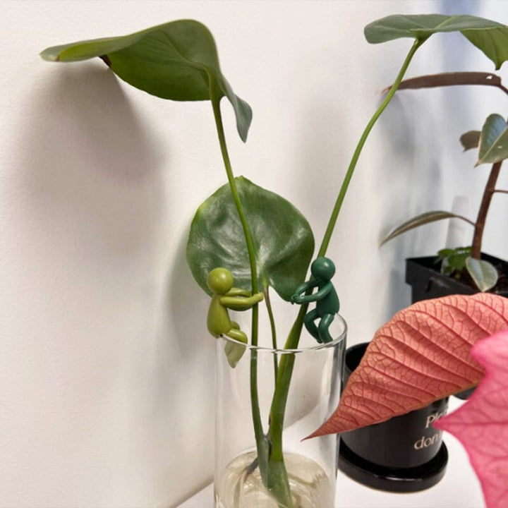 Skanto | Planteformering Venn