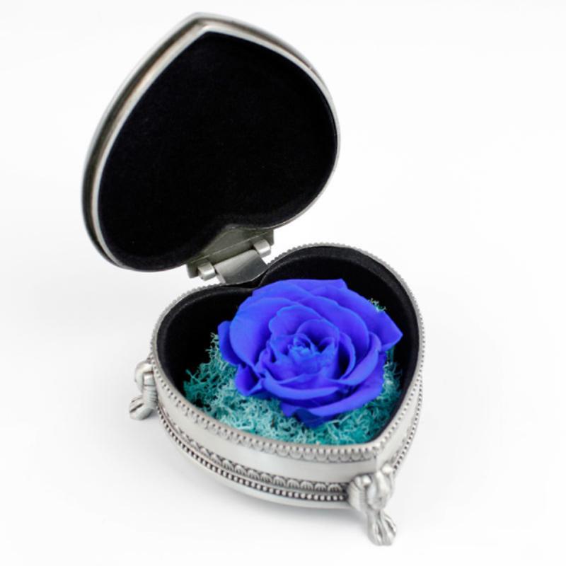 Skanto | Immortal Rose Gaveeske