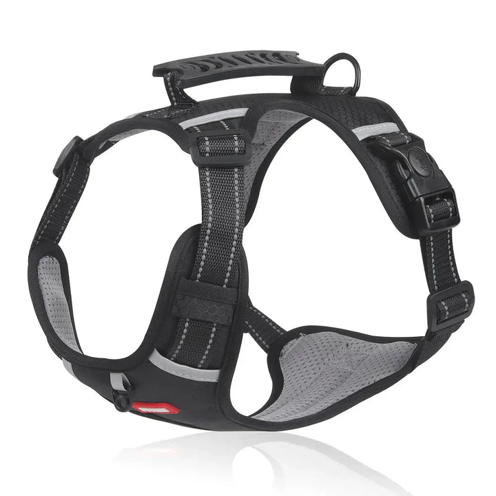 NoPull hundesele – WalkEase Skanto