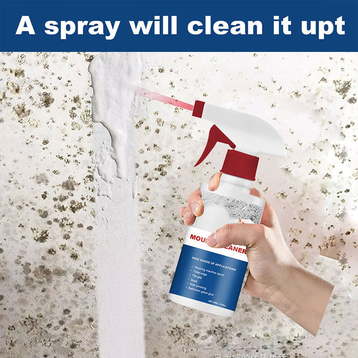 Skanto | Skanto Mold Cleaner Foam Mold Deodorant Decontamination Fast-Acting Spray