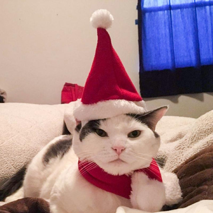 Juledekorasjon Santa-hatt med skjerf | Skanto