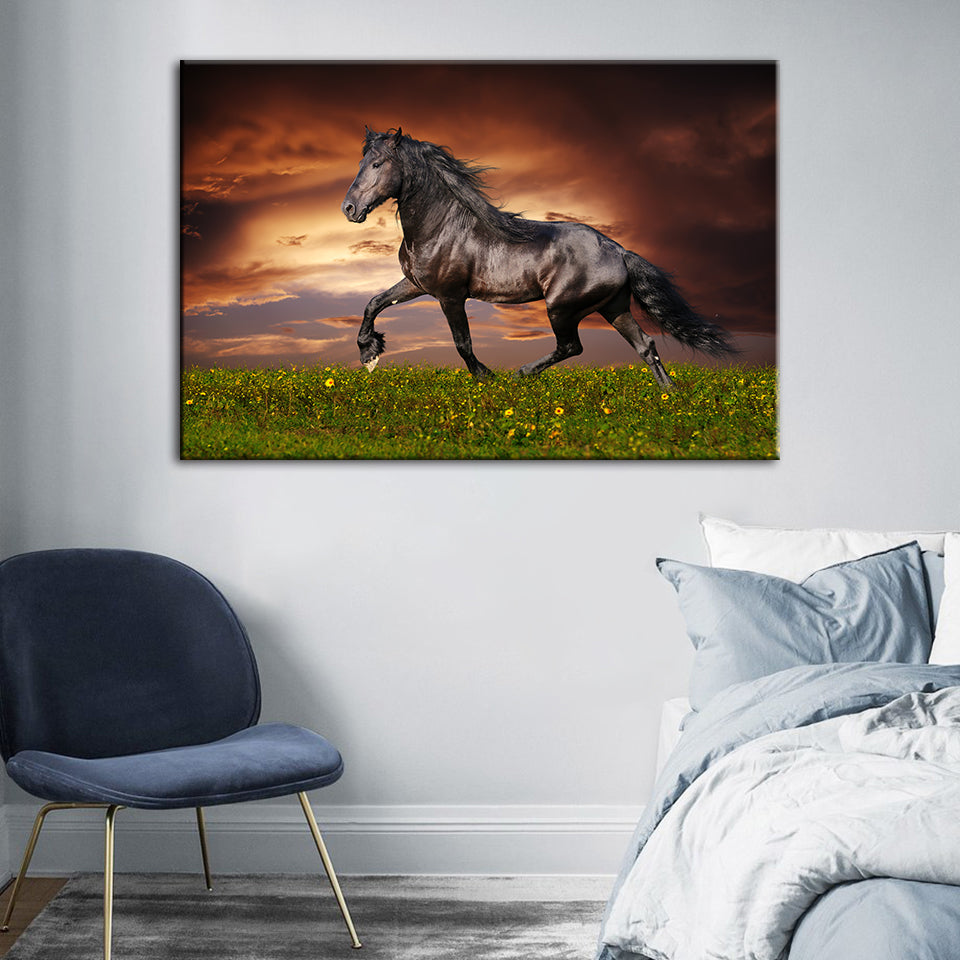 Galopperende svart hest – lerretbilde