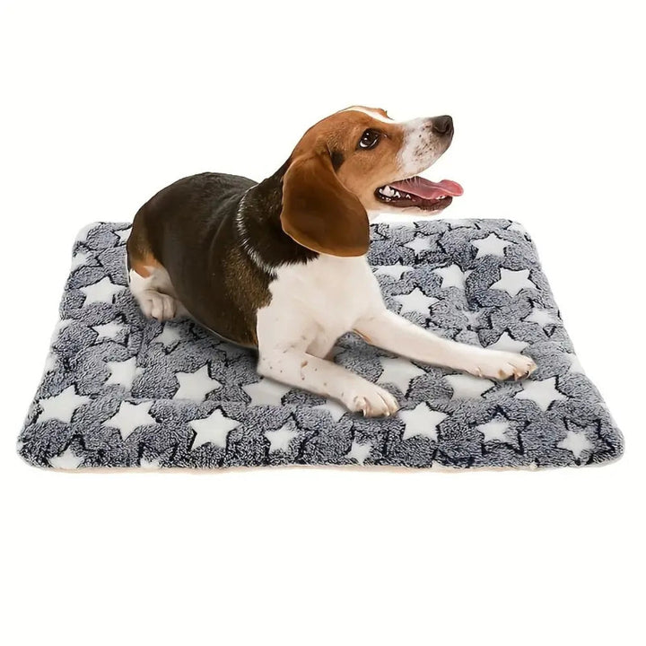 Skanto | Snuggly Star Ultra-Varm Katt- og Hundeseng