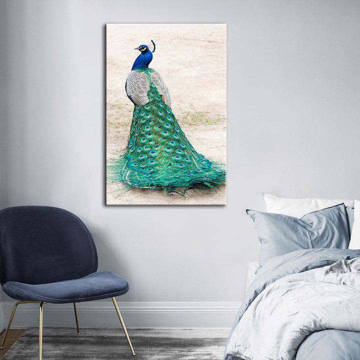Elegant påfugl i skjørt – lerretbilde