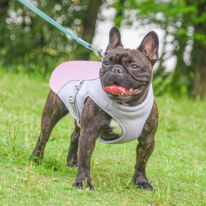 Hund Küling Vest for Utendørs Aktiviteter | Skanto