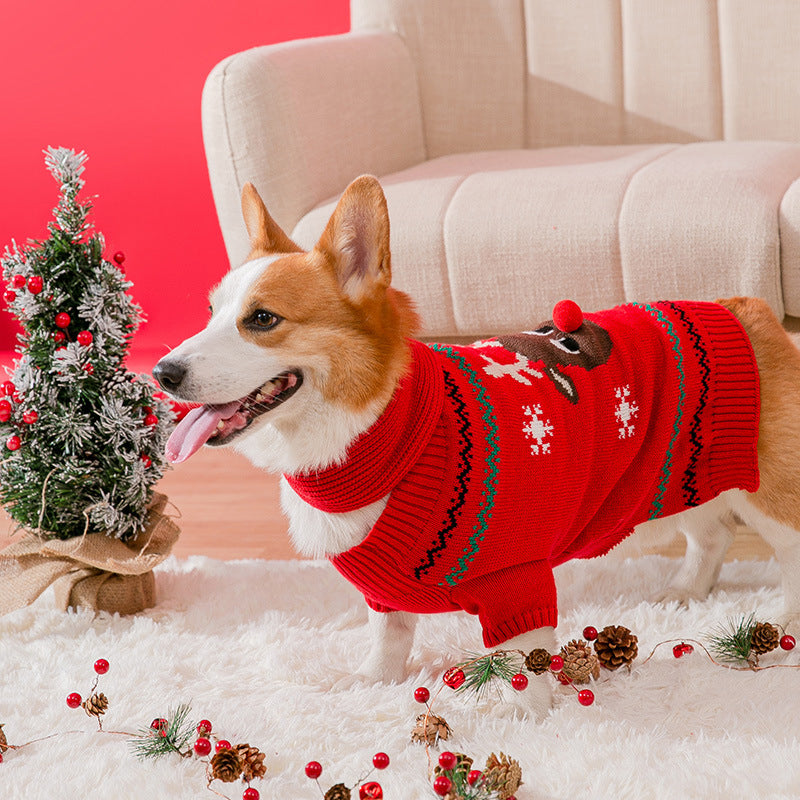 Varm julekleding for kjæledyr | Skanto
