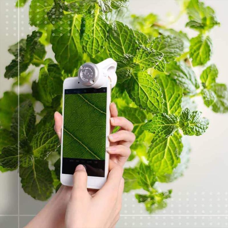 LED Bærbar Telefon Mikroskop | Skanto
