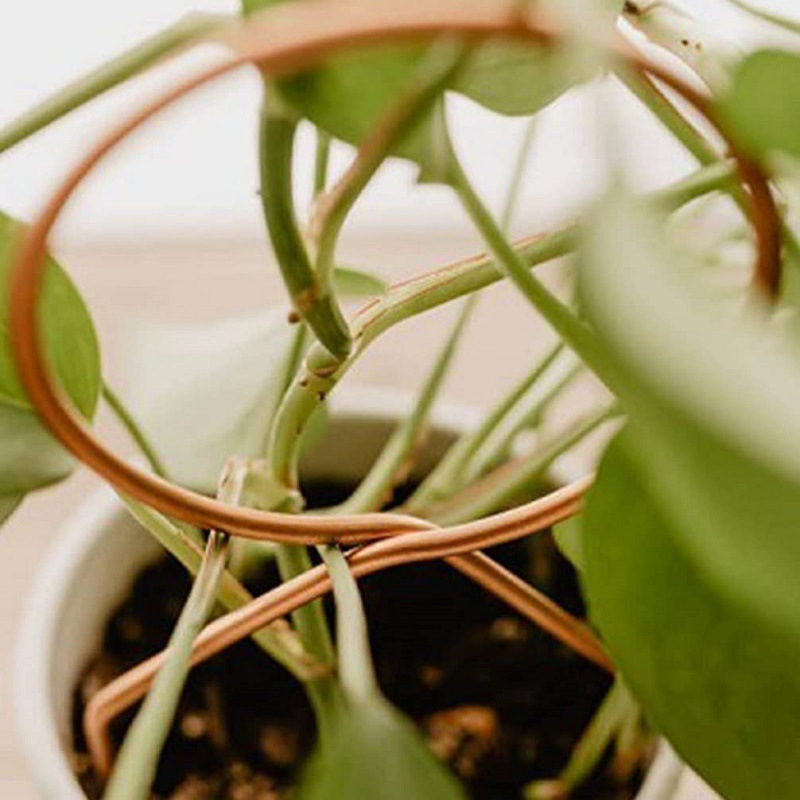 Skanto | Metall plante støtte for klatreplanter i ulike former