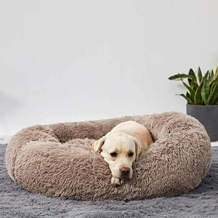 Skanto | Beroligende Hundeseng