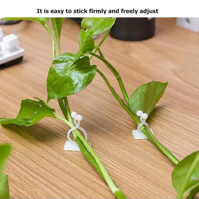 Veggholder for klatreplanter (30 deler) | Skanto