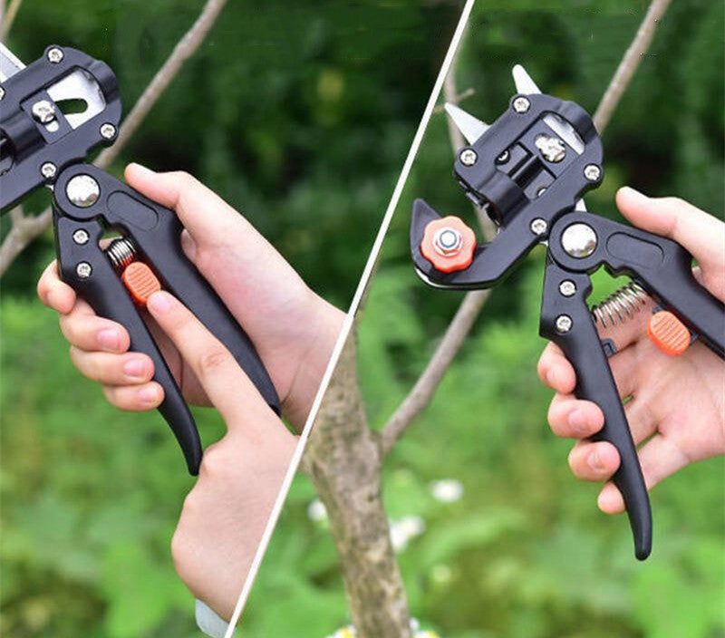 Skanto | Manuell Tre Grafting Saks