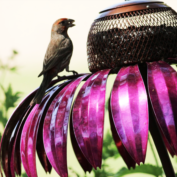 Bird Feeding Station D'éChinacéE | Skanto